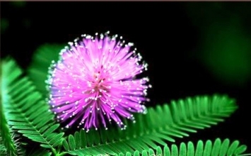 Giấy tờ thất lạc